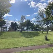 ささぱんだの画像