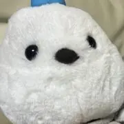 こぶさん
