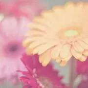 み。の画像