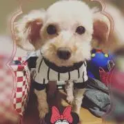 ★purple★ 【プロフィール必読】の画像
