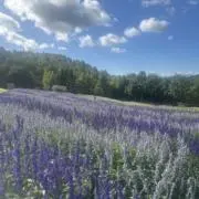 mikey0330の画像