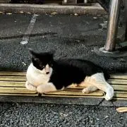 バニラ⭐︎プロフィ閲覧推奨の画像