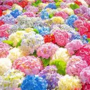 ゆう☆の画像