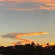 紅はるかの画像