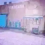 凪の画像