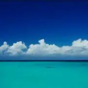 BLUEの画像