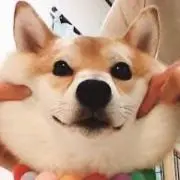 バティ