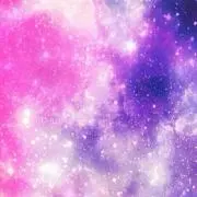 桜/値下げ交渉要相談