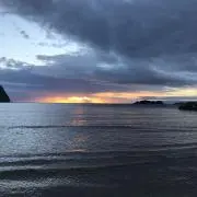 あどぐりの画像