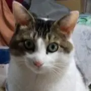 まみ(プロフ確認お願いします)の画像