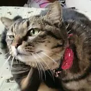 さなぞー