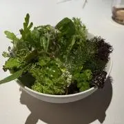 gonの画像