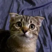 mana