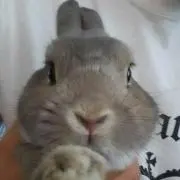 あこちん