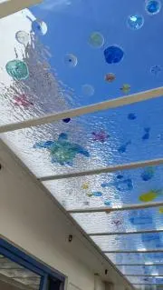 チャコの画像