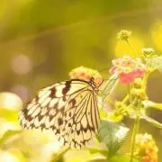 PRISM & COLORの画像