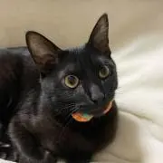 Hiroの画像