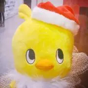 sk☆【専用はお断りしております】の画像