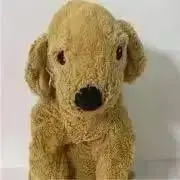 いぬこの画像