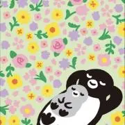 haruの画像