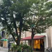 贅沢搾りの画像