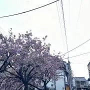 みな