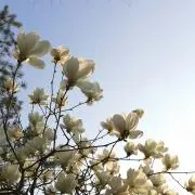お休み中です❁ ご購入、発送できません