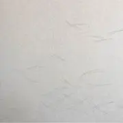 TAKA