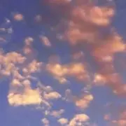 treeの画像