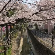 TAの画像