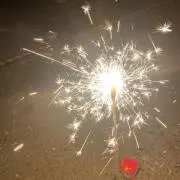 いるか