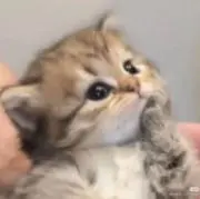 ❤︎の画像