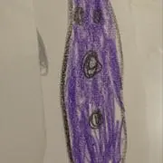 uototaの画像