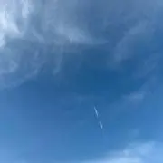 ぴこらの画像