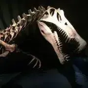 きいろの画像