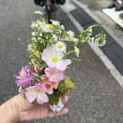 そらいろ☆の画像