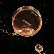 ★★プロフ必読の画像