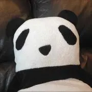 にゃんこ※コメ逃げブロックします