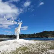 あみあさの画像