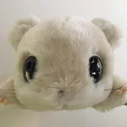 ももちゃの画像