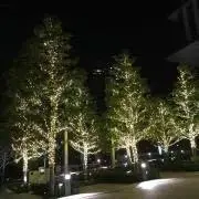 はるの画像
