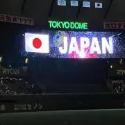 FＪの画像