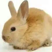 新人メイト♥発送20日(土)予定です
