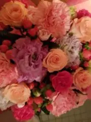 ぽよぽよ（プロフ必読）
