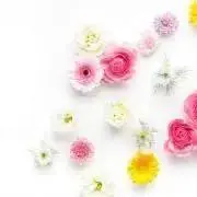 kuu♡shoes専門店の画像