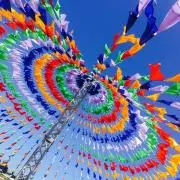 はるの画像