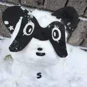 sayapiiの画像