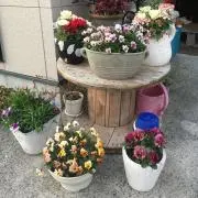 Image of けぇ