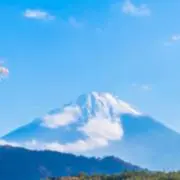 Blue 5／3 - 5／5発送一時停止の画像