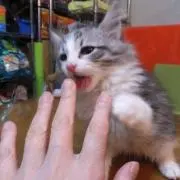 Mサンド